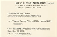 登錄號:A00003440藏品圖，第2張