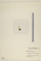 登錄號:A00003440藏品圖，第3張