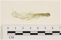 登錄號:A00003441藏品圖，第1張