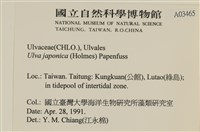 登錄號:A00003465藏品圖，第2張