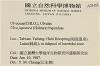 登錄號:A00003466藏品圖，第2張