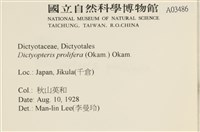 館號:A00003486藏品圖，第2張