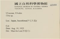 登錄號:A00003494藏品圖，第2張