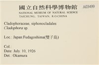 登錄號:A00003499藏品圖，第2張