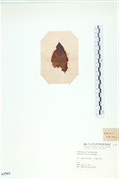 登錄號:A00003505藏品圖，第3張