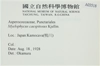 登錄號:A00003518藏品圖，第2張