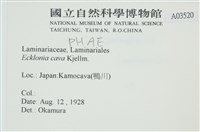 登錄號:A00003520藏品圖，第2張