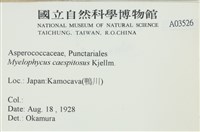 登錄號:A00003526藏品圖，第2張