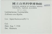 登錄號:A00003535藏品圖，第2張