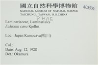 登錄號:A00003536藏品圖，第2張