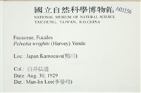 白氏藻藏品圖，第2張