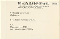 登錄號:A00003557藏品圖，第2張