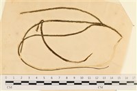 登錄號:A00003557藏品圖，第1張