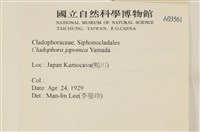 登錄號:A00003561藏品圖，第2張