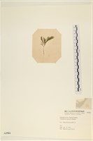 登錄號:A00003561藏品圖，第3張