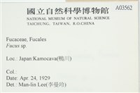 登錄號:A00003562藏品圖，第2張