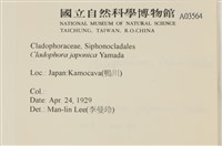 登錄號:A00003564藏品圖，第2張