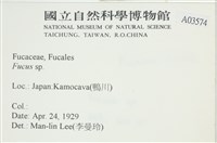 登錄號:A00003574藏品圖，第2張