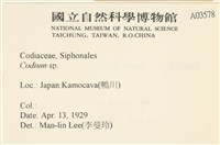 登錄號:A00003578藏品圖，第2張