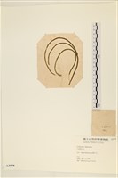 登錄號:A00003578藏品圖，第3張