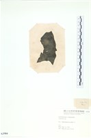 登錄號:A00003584藏品圖，第3張