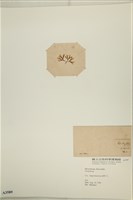 登錄號:A00003589藏品圖，第3張