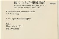 登錄號:A00003599藏品圖，第2張