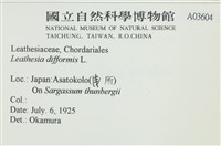 登錄號:A00003604藏品圖，第2張