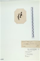 登錄號:A00003604藏品圖，第3張