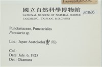 登錄號:A00003606藏品圖，第2張