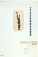 登錄號:A00003606藏品圖，第3張