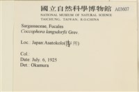 登錄號:A00003607藏品圖，第2張