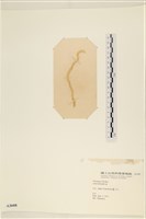登錄號:A00003608藏品圖，第3張