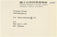 登錄號:A00003609藏品圖，第2張