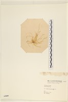 登錄號:A00003609藏品圖，第3張