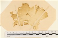 登錄號:A00003611藏品圖，第1張