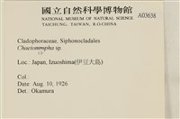 登錄號:A00003638藏品圖，第2張