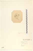 登錄號:A00003638藏品圖，第3張
