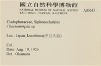 登錄號:A00003643藏品圖，第2張