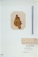 登錄號:A00003651藏品圖，第3張