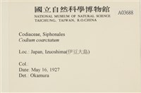 登錄號:A00003688藏品圖，第2張