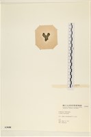 登錄號:A00003688藏品圖，第3張