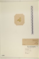 登錄號:A00003803藏品圖，第3張