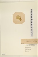 登錄號:A00003813藏品圖，第3張