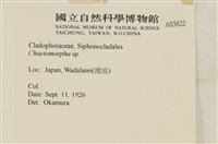 登錄號:A00003822藏品圖，第2張