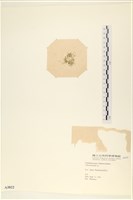 登錄號:A00003822藏品圖，第3張