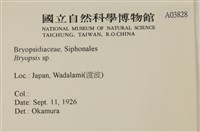 登錄號:A00003828藏品圖，第2張