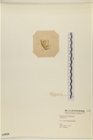 登錄號:A00003828藏品圖，第3張