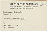 登錄號:A00003836藏品圖，第2張