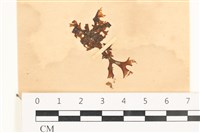 登錄號:A00003836藏品圖，第1張